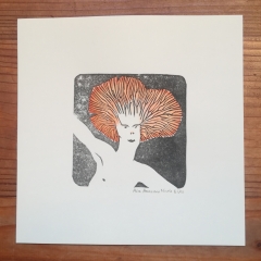 Chanterelle