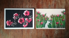Coquelicots - Pivoines
