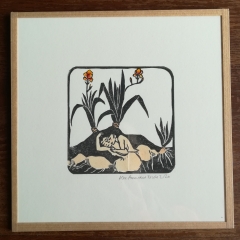 Iris